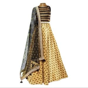 Black and Gold Embellished Lehenga